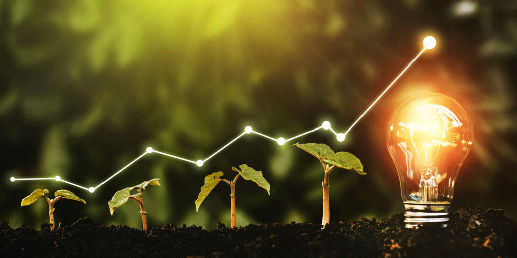 Sustainable growth strategies