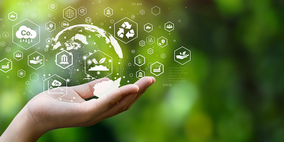 Sustainable growth strategies