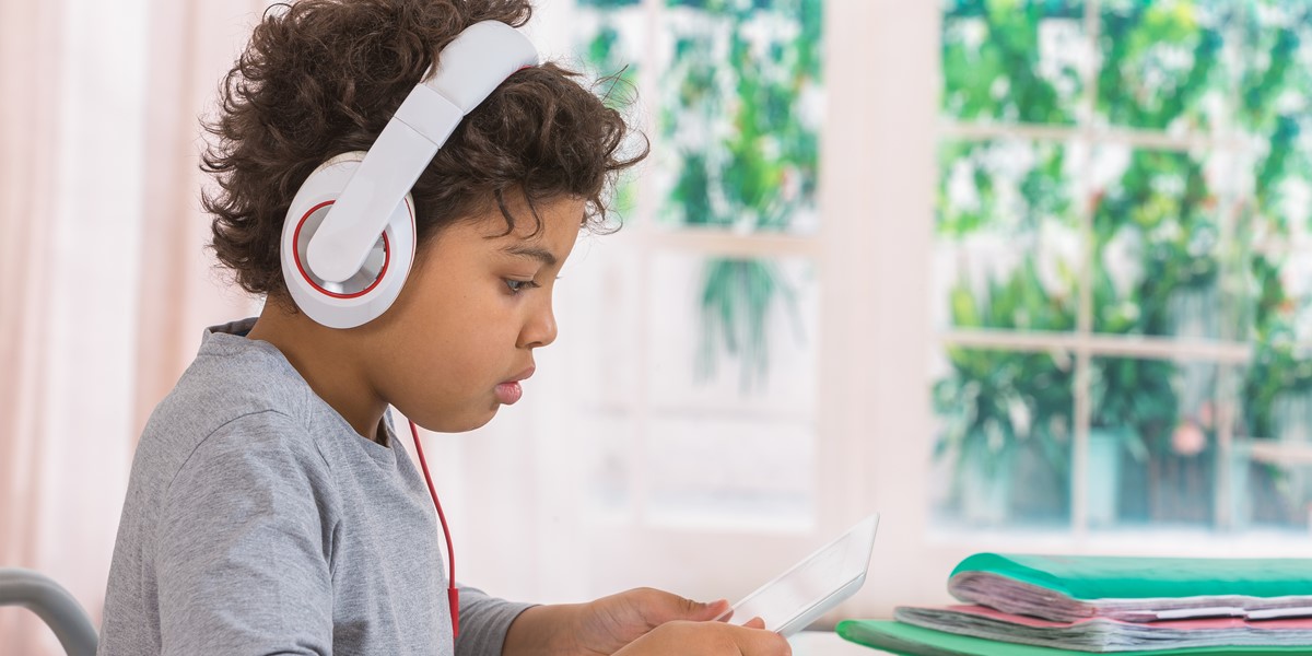 Accessibility and Inclusion in Learning