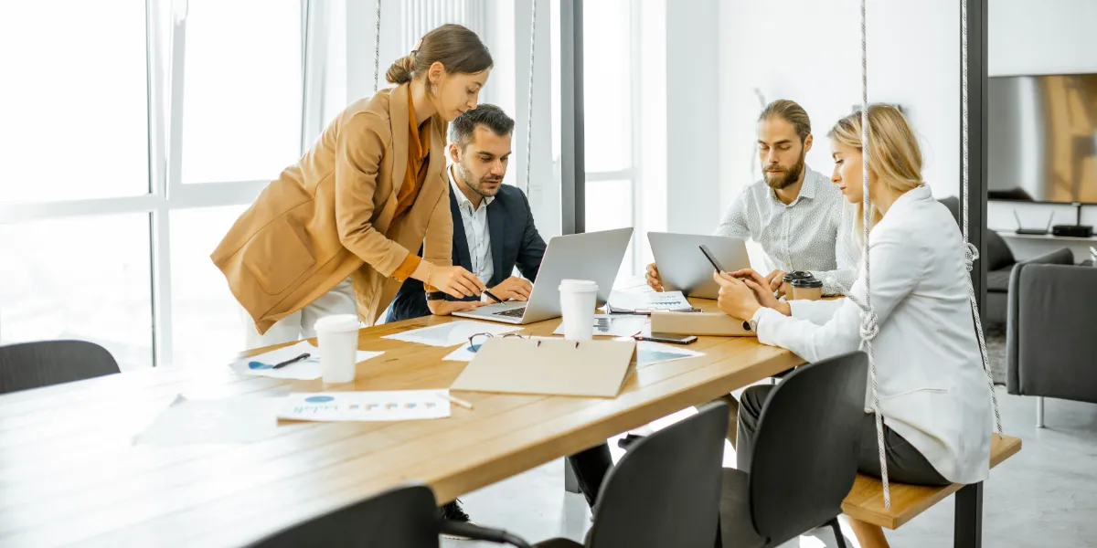 The Maturity Stage: Optimizing and Sustaining Success