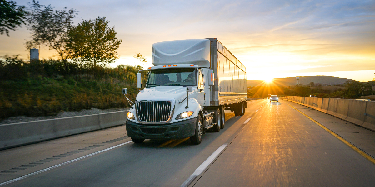 Logistics and Transportation Efficiency